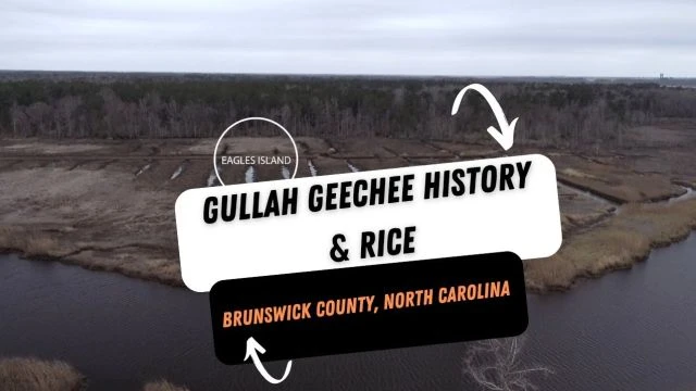Gullah Geechee Legacy: Rice Farming Roots in Brunswick County, NC