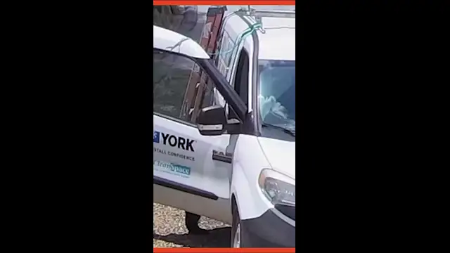 Black Bear Breaks Into HVAC Van in North Carolina — Wild Jobsite Surprise!
