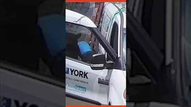 Black Bear Breaks Into HVAC Van in North Carolina — Wild Jobsite Surprise!